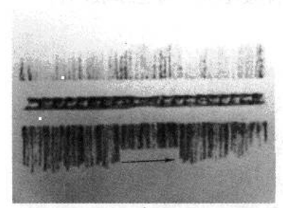 (10) Scratches on the sheet metal along the copper wire (outer side) (first and last sheets).png
An error occurred in the upload. Please try again later.