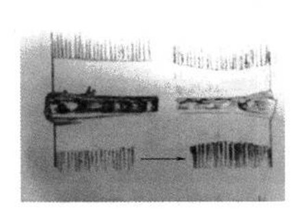 (1)Inner and Outer Views of a Single Welded Can