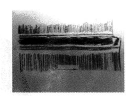 (4)(4) Misalignment at the Start of the Weld Seam (Outer Side)