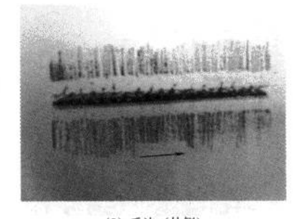 (9) Burrs (outer side)