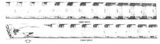 Figure 3‑110 Cracking of Powder Coating Strip After Rolling